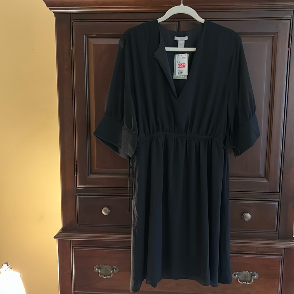 Cute L H and M lined chiffon dress button front closure cinched sides